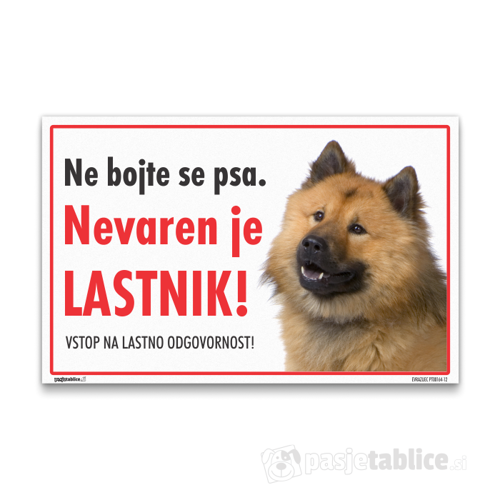 EVRAZIJEC12