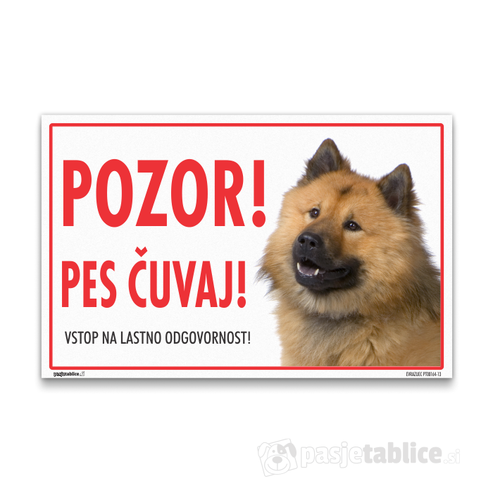 EVRAZIJEC13