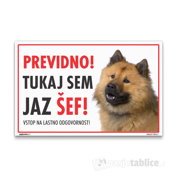 EVRAZIJEC3