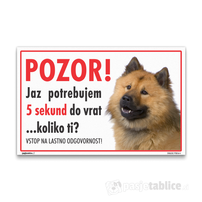 EVRAZIJEC4