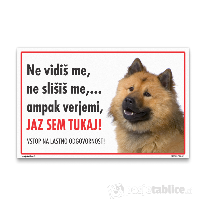 EVRAZIJEC7