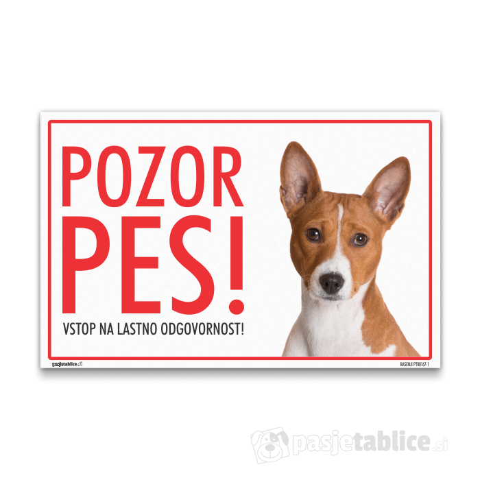 BASENJI1
