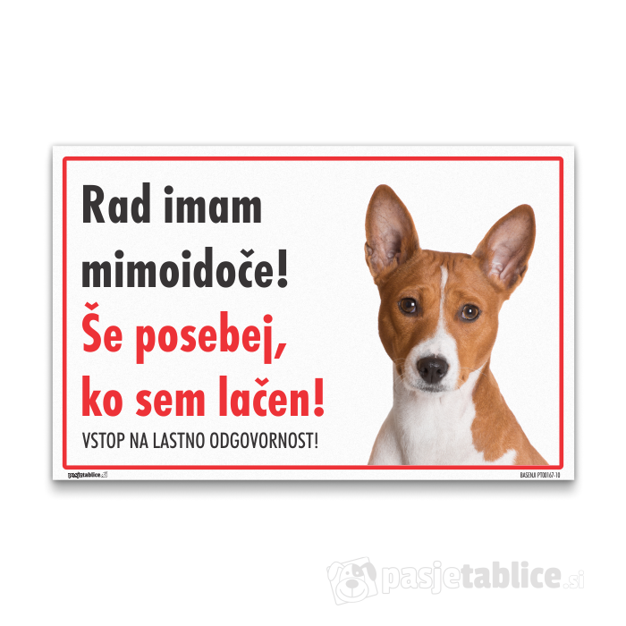 BASENJI10