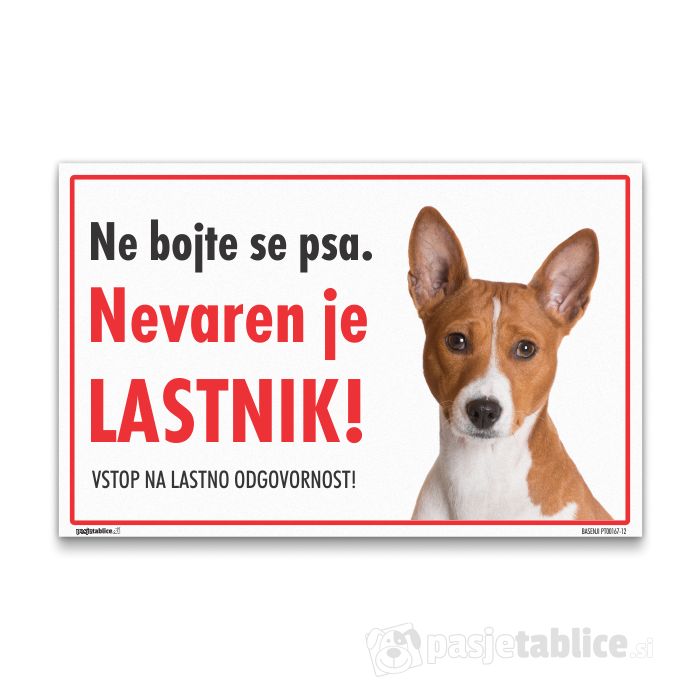 BASENJI12