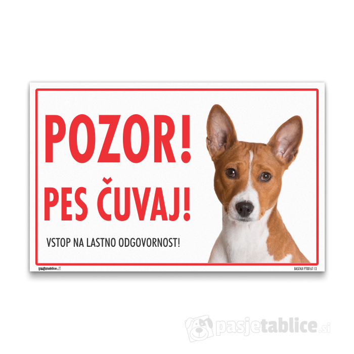 BASENJI13