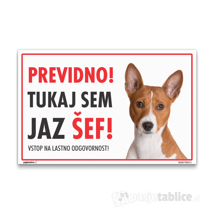BASENJI3