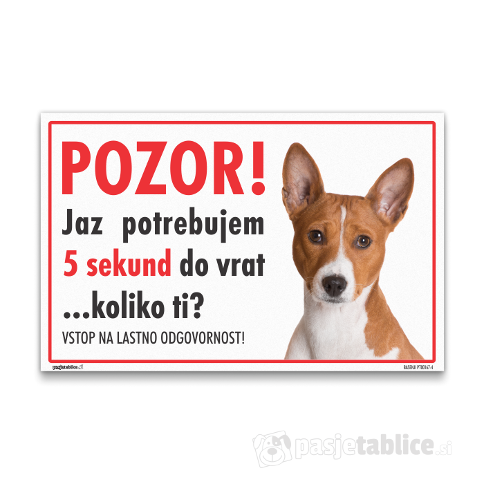 BASENJI4