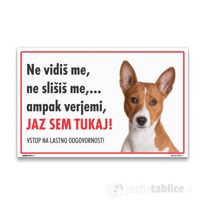 BASENJI7