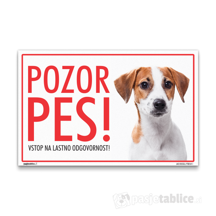 JACK RUSSELL1
