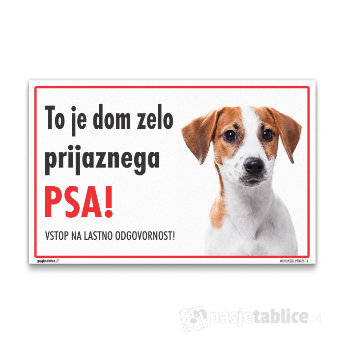 JACK RUSSELL14