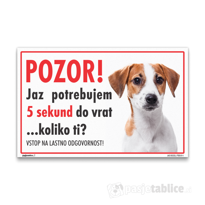 JACK RUSSELL4