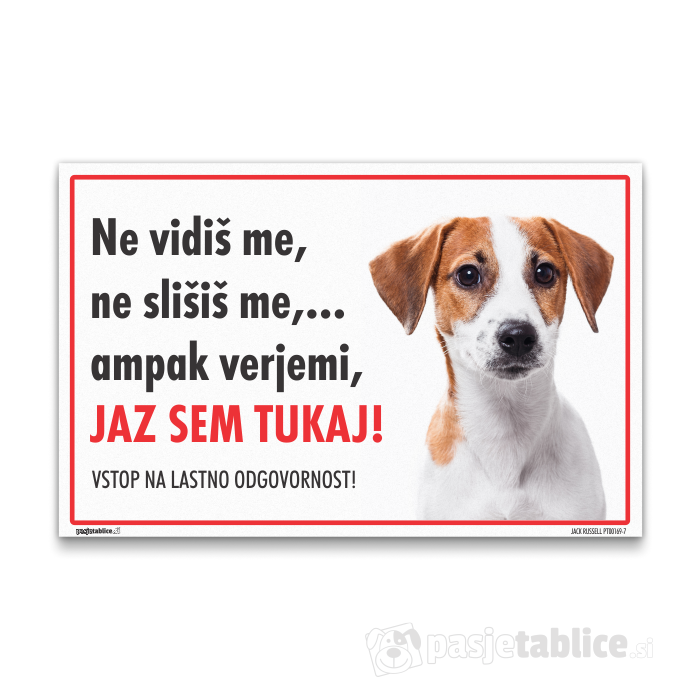 JACK RUSSELL7