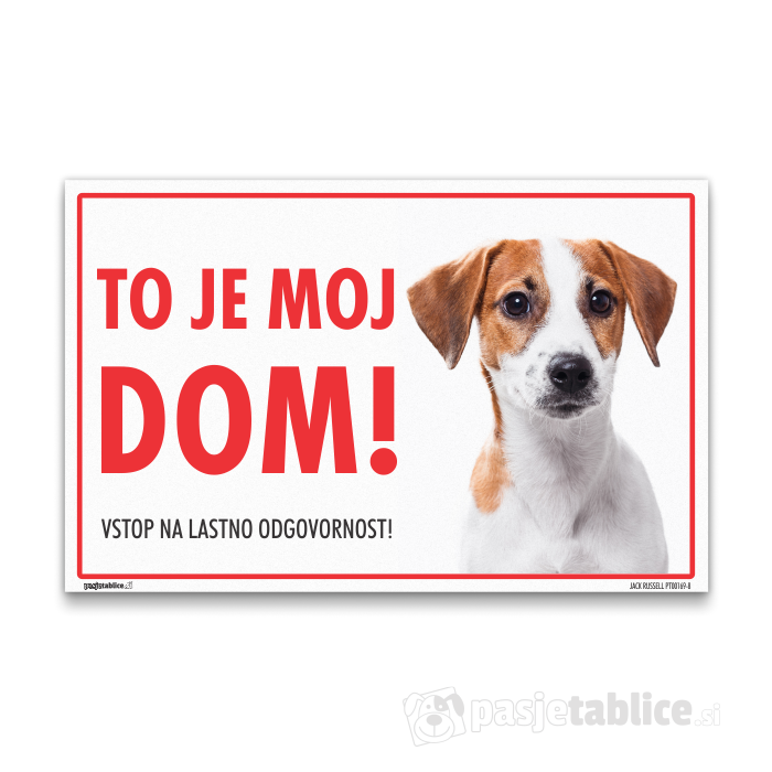 JACK RUSSELL8
