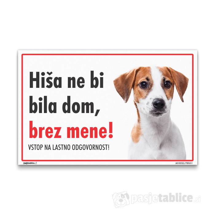 JACK RUSSELL9