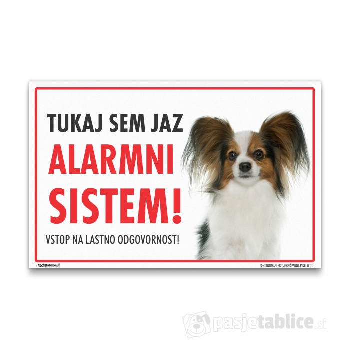 KONTINENTALNI PRITLIKAVI ŠPANJEL11