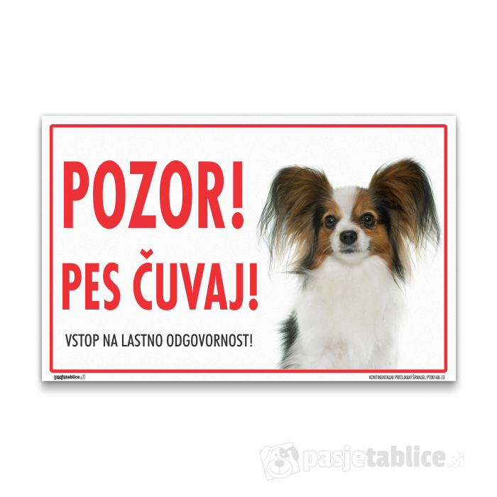 KONTINENTALNI PRITLIKAVI ŠPANJEL13