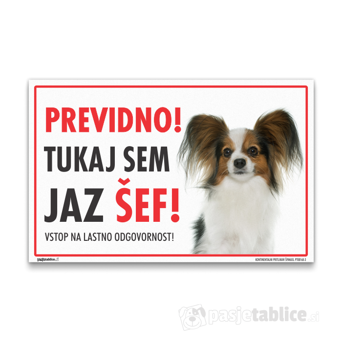 KONTINENTALNI PRITLIKAVI ŠPANJEL3