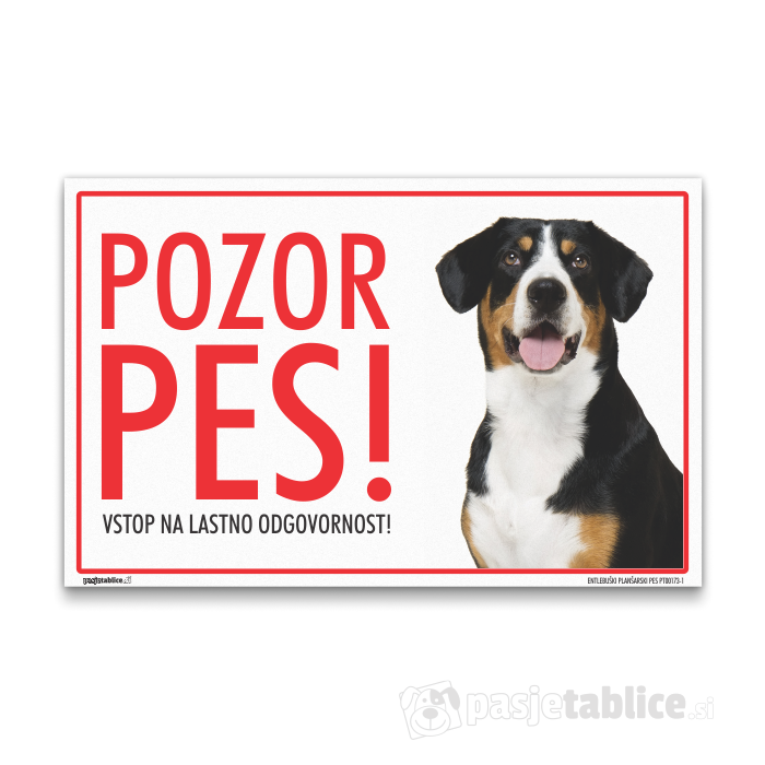 ENTLEBUŠKI PLANŠARSKI PES 1