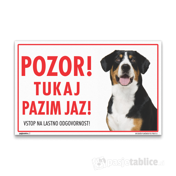 ENTLEBUŠKI PLANŠARSKI PES 5