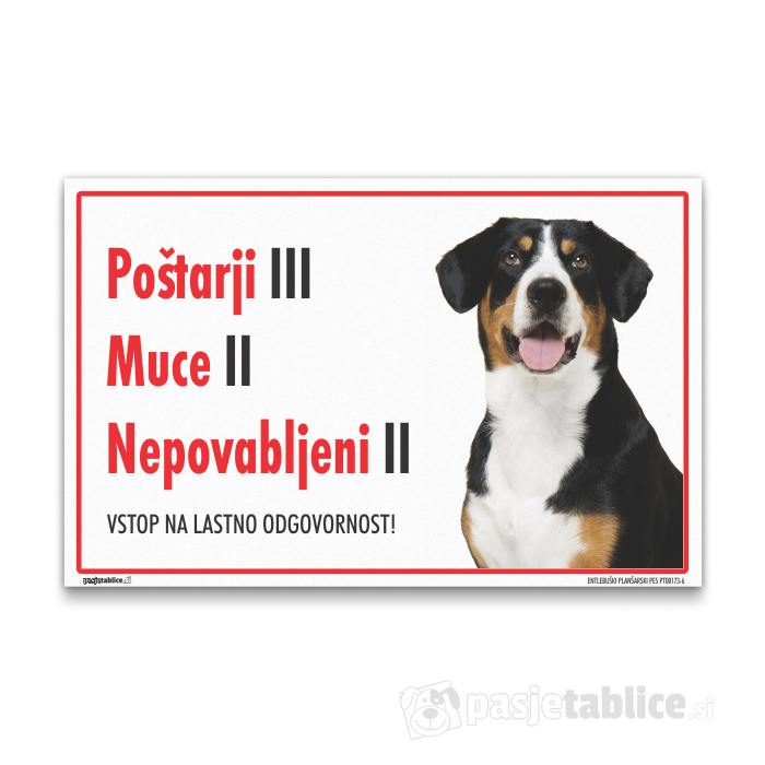ENTLEBUŠKI PLANŠARSKI PES 6