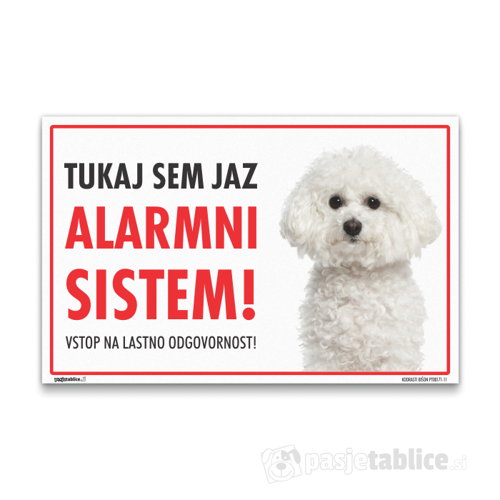 KODRASTI BIŠON 11