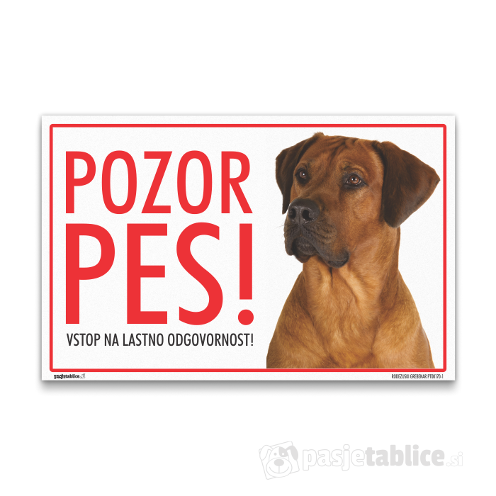RODEZIJSKI GREBENAR 1