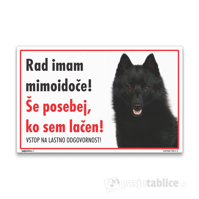 SCHIPPERKE 10