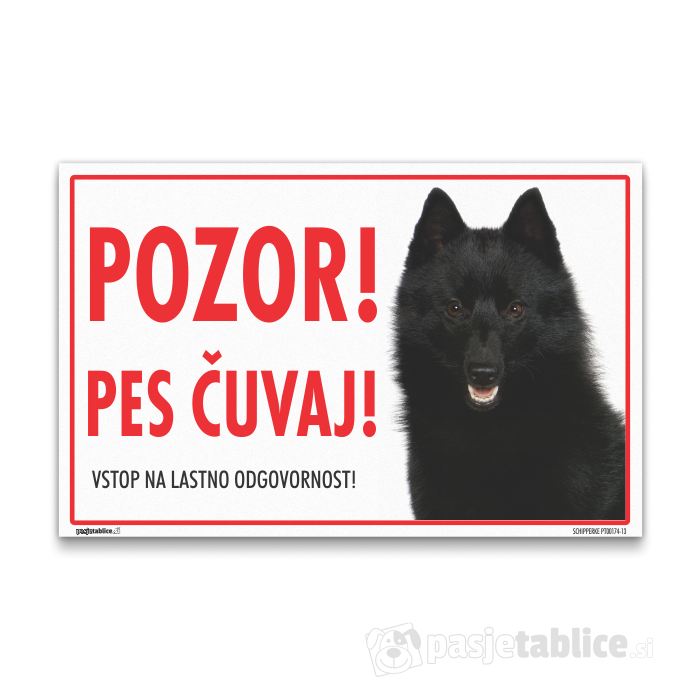 SCHIPPERKE 13