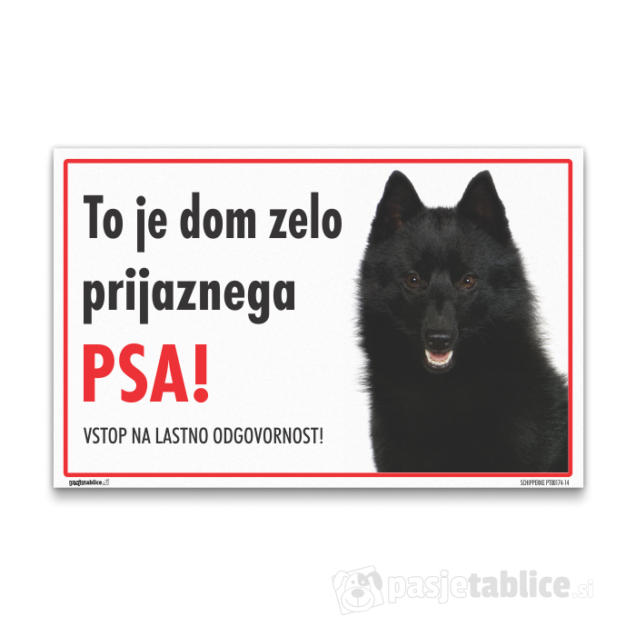 SCHIPPERKE 14