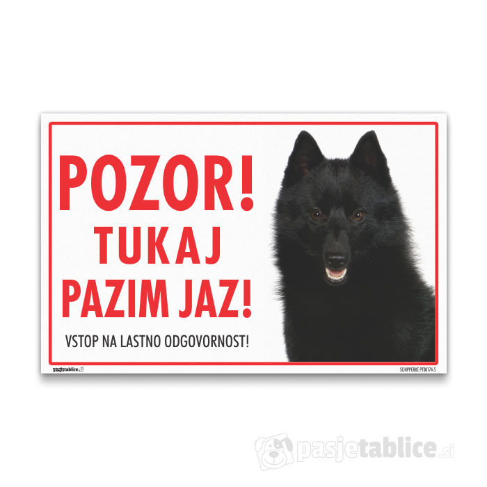 SCHIPPERKE 5